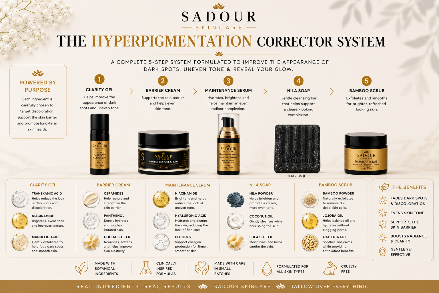 Hyperpigmentation Corrector System